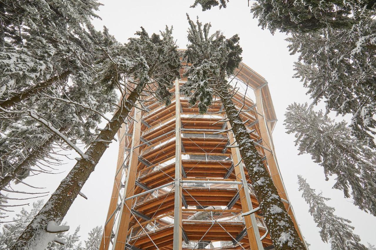 Ski Hotel Svoboda Nad Upou Bagian luar foto