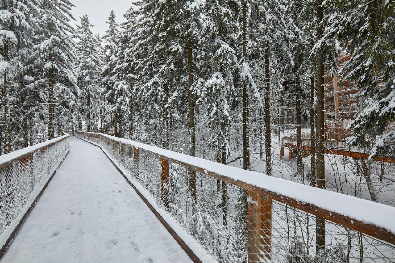 Ski Hotel Svoboda Nad Upou Bagian luar foto